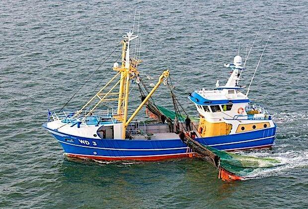 As fishing quotas rise, one-third of Ireland fleet seeks to quit