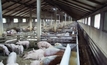 Farmers furious over Coles-Animals Australia alliance