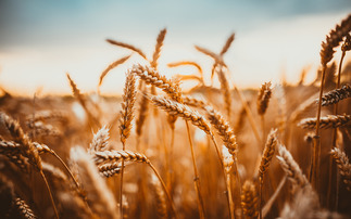 Farmers gather to celebrate yield achievements achieved 'against the odds'