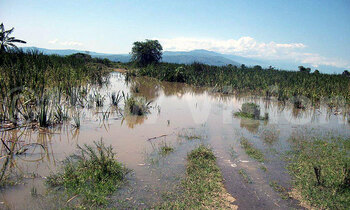 Floods 350x210