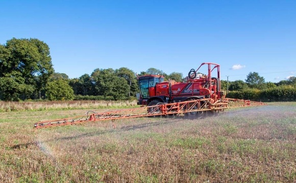 Grass-weed management paying off