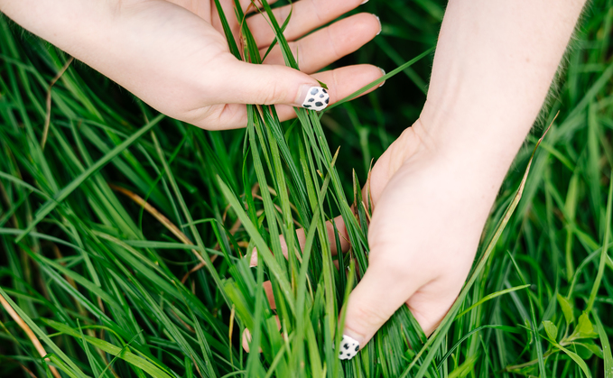 Regular audits to reduce dairy farm carbon footprints