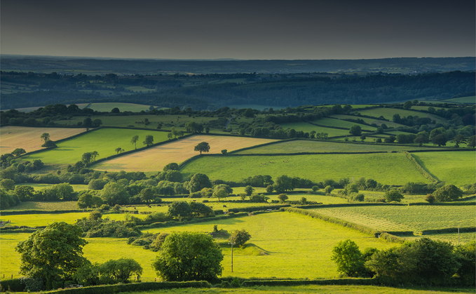  FG's Ask The Expert - Inheritance Tax: What about tenant farmers and older farmers?