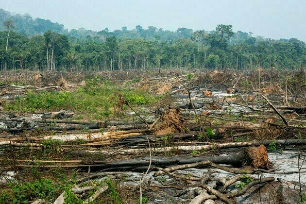 Brazil fires drive acceleration in Amazon deforestation