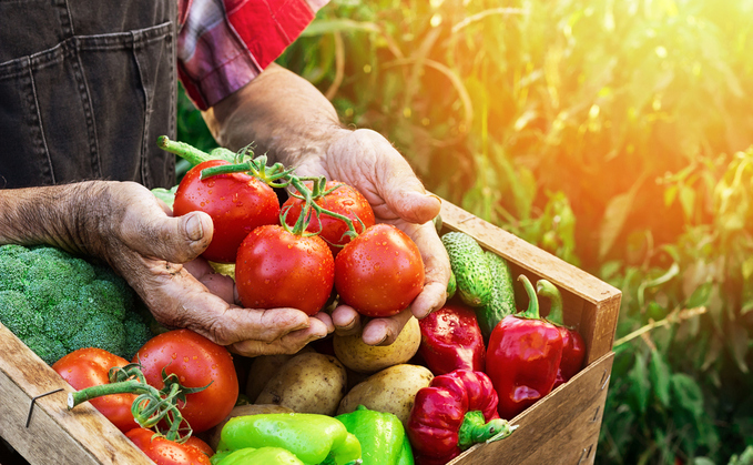 Farmers need to do much more to improve productivity in order to meet Defra’s goals, says new study. Credit: iStock