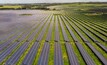 Planned solar project is estimated to meet 13% of Vale's demand in 2025