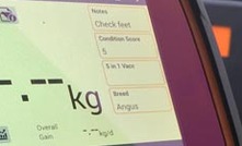 Gallagher unveils new weigh scale