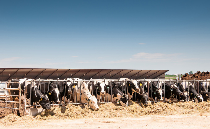 At present, 67 dairy herds across nine US states have been infected by avian influenza