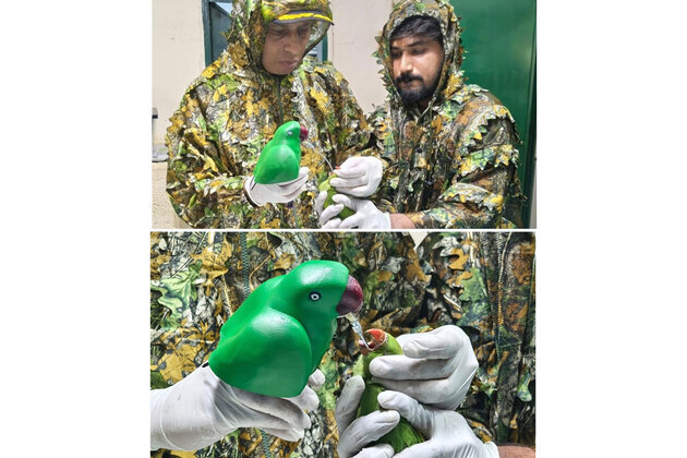 Gopalan Foundation Students Create 'Mother Parakeet' Feeding Model to Save 46 Orphaned Chicks