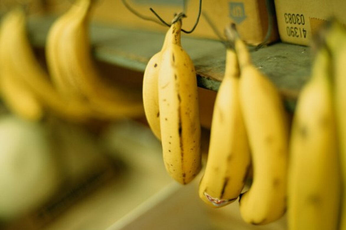 UK to finally scrap EU bent bananas rule