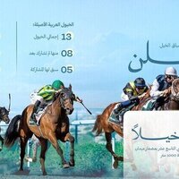 19th trial race concludes at Meydan with 20 horses