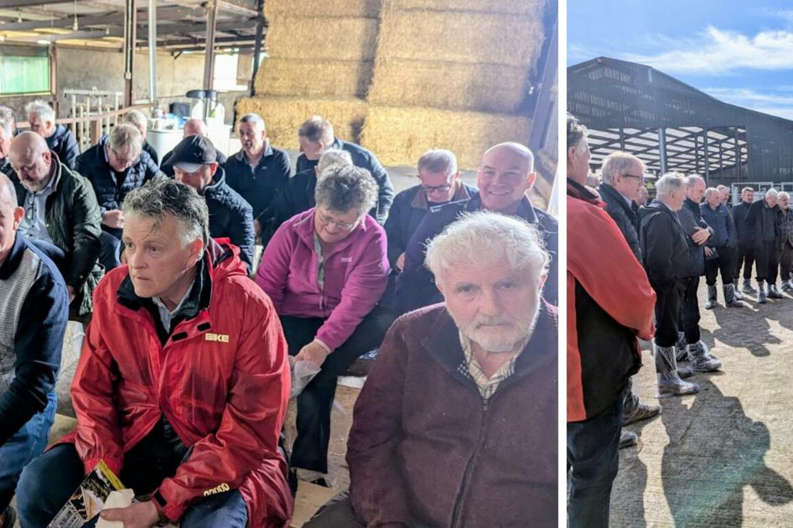 New Tyrone-based Plough On group enjoys first farm visit