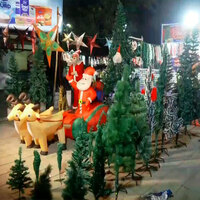 Odisha: Bhubaneswar markets decked up with trees, bells, gifts ahead of Christmas