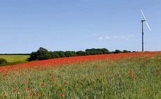 Nature friendly farm proves profitable