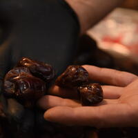LEBANON-TRIPOLI-RAMADAN-SWEETS-LANTERN