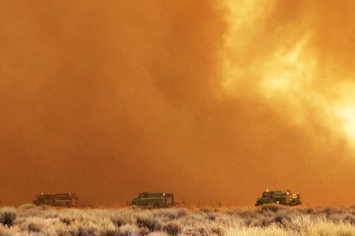 World's oldest trees threatened by California's Silver fire