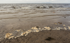 Defra warned of possible 'serious failures' to comply with marine environment laws