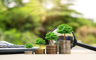 Smart Pension invests £550m in low carbon stewardship fund 