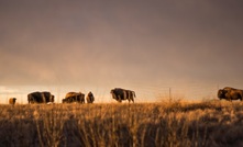  Saskatchewan. Image by Weston M/Unsplash