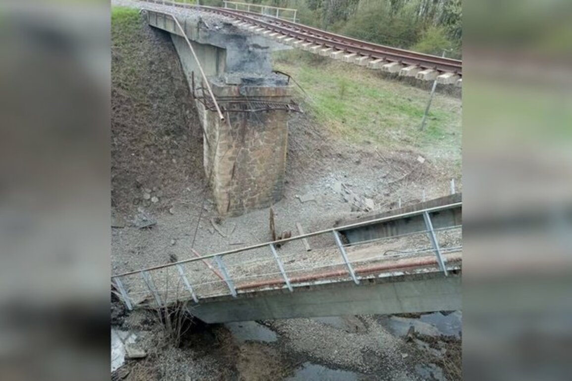 Russia probes bridge collapse as terrorism