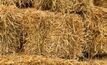 Fodder donations flow in NSW