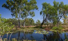  Doongmabulla springs