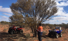  Tree sampling at Aurora Tank.