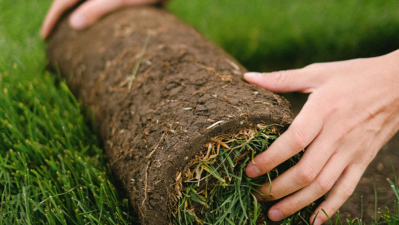 Critical mistakes for landscapers & gardeners to avoid during peak summer season