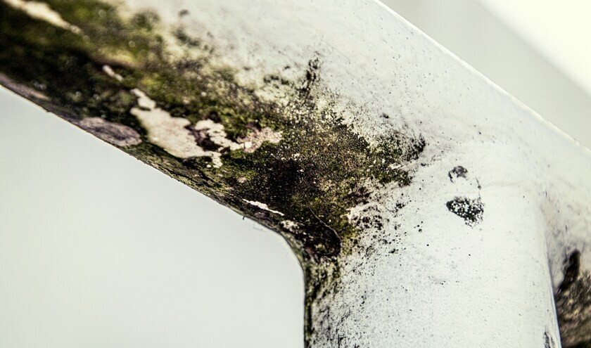 (c) Michael Schaffler/Unsplash 