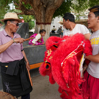 (InXizang) CHINA-XIZANG-QAMDO-LION DANCE (CN)