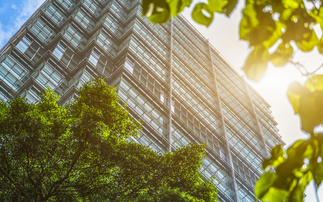 'More can be done': BSI calls on net zero governance bodies to strengthen standards