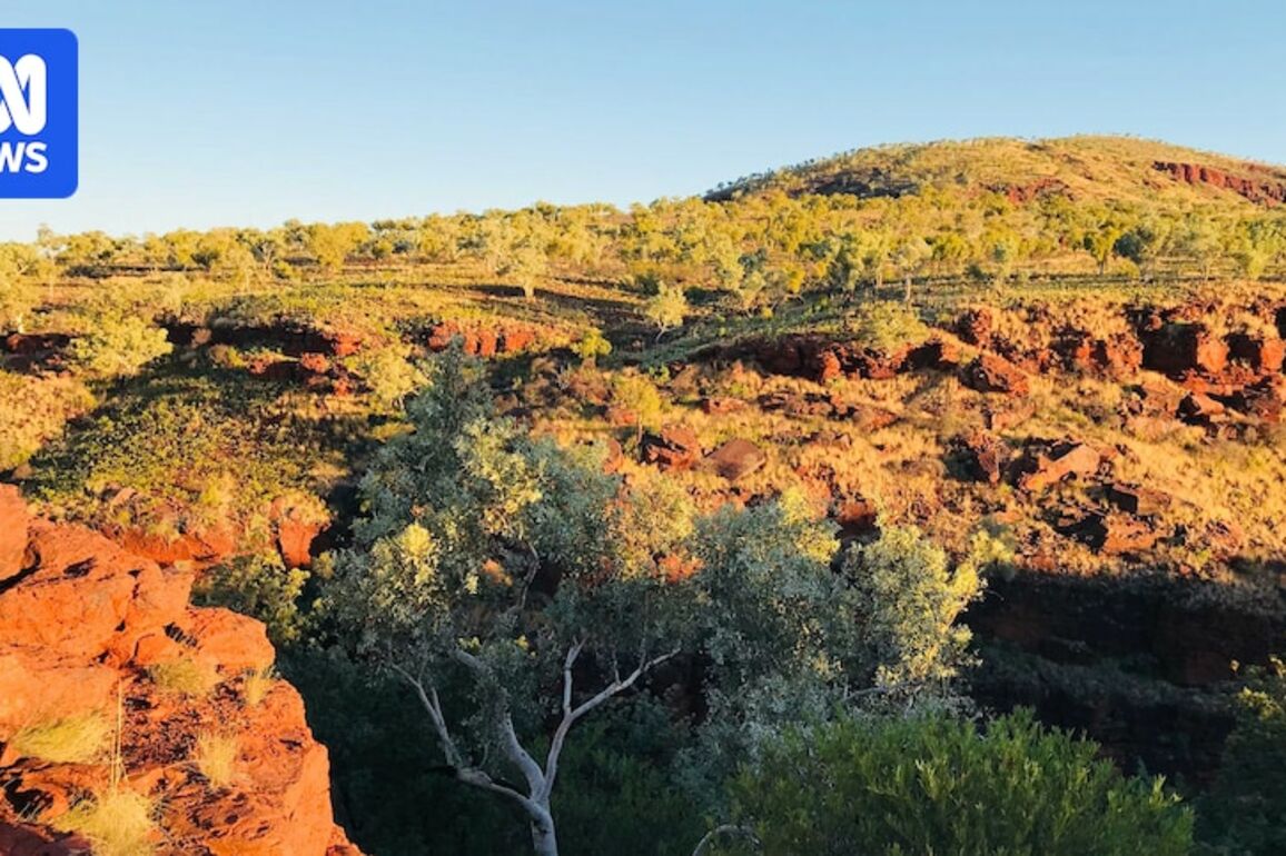Miner 'unaware' it had applied to explore contaminated land at Wittenoom