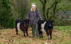 'I love the landscape; the drystone walls; the Dales' - Hill Top Farm Girl shares her passion for farming, nature and Yorkshire