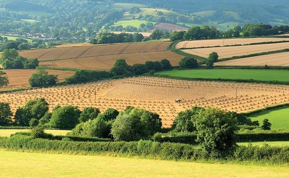 The green recovery: Supporting farmers to keep sustainability on their priority list