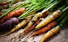 Inverleith acquires Planet Organic