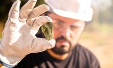 Miner holding gold nugget. Photo: RHJPhtotos / Shutterstock