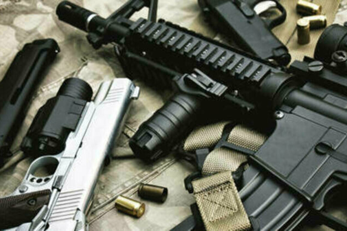 Two million illegal firearms circulating in South Africa - opposition