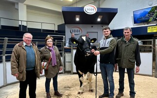 British Friesian bull sets new record at Carlisle