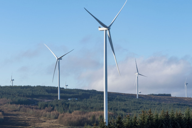 Give excess power to homes for free, says report  Daily Business