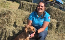 Young farmer focus: Liz King - 'Agriculture is a challenging industry to join but is also the most rewarding to be a part of'