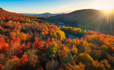 Partner Insight: Diversification proves its worth as markets reset