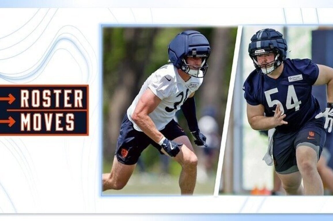 Roster Moves: Chicago Bears sign Thieneman and Jones