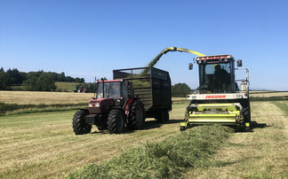 Cost conscious chopping with classic Claas