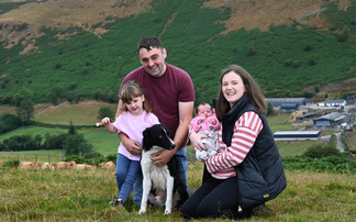 How Beltex have added value to a traditional Welsh sheep enterprise