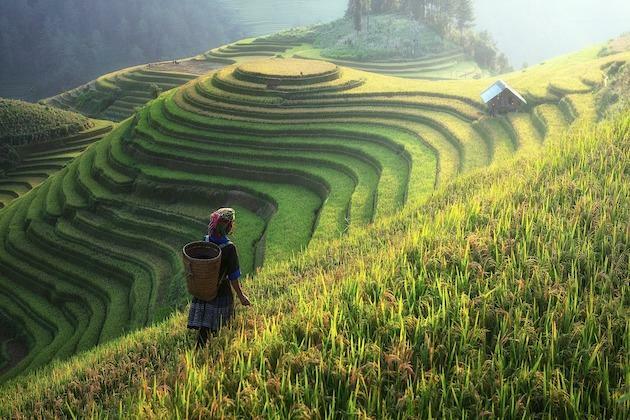 China's policy bank ups financial support for rural development