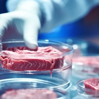 Factory Farms and the Growing Threat of Zoonotic Pandemics