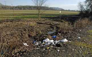 Animals are suffering due to littering, says animal welfare charity 