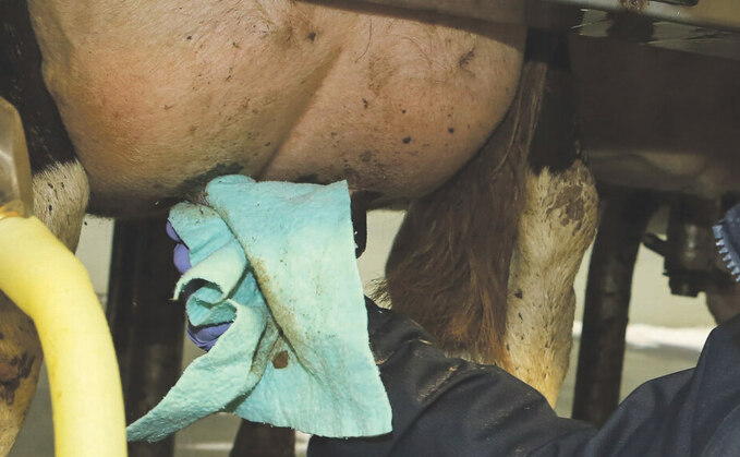 Protocols key when switching to using reusable udder cloths