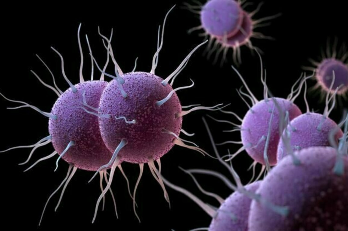 A gonorrhoea vaccine will soon be available in the UK - here's how it works to protect against the STI