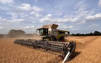 Partner Insight: Why growers are reassessing their feed wheat choices